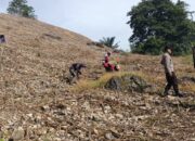 Polsek Anggeraja Bersama Kelompok Tani Laksanakan Penanaman Jagung Serentak Kuartal I 2026 Dukung Swasembada dan Ketahanan Pangan