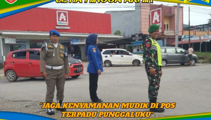 Babinsa Koramil Lainea Jaga Kenyamanan Mudik di Pos Terpadu Punggaluku