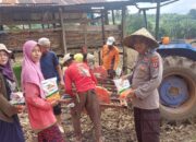 Gerak Cepat, Polda Sulsel Tanam Jagung di Lahan 1.803,62 Ha