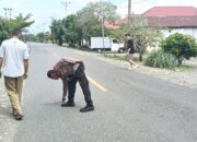 Polsek Batui Buru Pelaku Tabrak Lari, Nenek Tewas Usai Diserempet dan Ditinggal Kabur