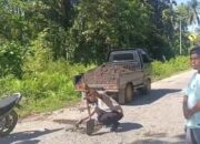 Cegah Kecelakaan Lalulintas, Personel Polsek Lasalimu Tambal Jalan Berlubang