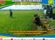 Dukung Ketahanan Pangan, Sertu Subhan Jaya Tinjau Persawahan di Konawe Selatan