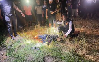 Kasi Humas Polres Wajo: Pelaku Penikaman di Desa Sappa Diamankan, Korban Tewas di TKP
