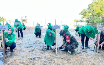 Dalam Rangka HUT ke-80, Persit KCK Cabang XLVII Dim 1412 Kolaka Laksanakan Penanaman Mangrove di Wilayah Kecamatan Watubangga