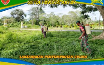 Jaga Akses Jalan dan Pertanian, Babinsa Pangan Jaya Laksanakan Penyemprotan Gulma