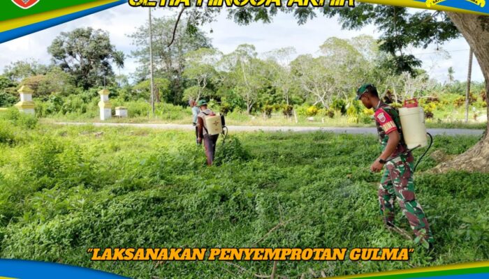 Jaga Akses Jalan dan Pertanian, Babinsa Pangan Jaya Laksanakan Penyemprotan Gulma
