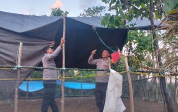 Respons Laporan Warga, Polsek Lamasi Bongkar Arena Sabung Ayam di Lamasi