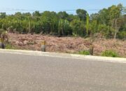 Mangrove Dibabat : DLHD Morowali Tutup Mata, Polisi Diminta Bertindak