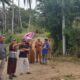 Bhabinkamtibmas Anggeraja Sukses Mediasi Sengketa Tanah di Desa Tampo, Berakhir Damai Lewat Restorative Justice