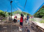 Jembatan Gantung Garuda: Pengikat Asa dan Penghubung Kehidupan Dua Kampung