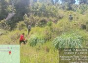 Patroli Karhutla dan Antisipasi Longsor, Bhabinkamtibmas Polsek Mengkendek Bersama Tim Gabungan Sisir Kawasan Hutan