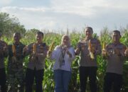 Polres Parepare Ikuti Panen Raya Jagung Nasional Secara Daring, Presiden Prabowo Apresiasi Inovasi Ketahanan Pangan Polri