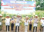 Kapolda Sulsel Pimpinan Panen Raya Jagubng Kuartal 2 Tahun 2026 di Mandalle, Pangkep