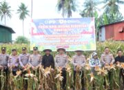 Polres Wajo Ikut Panen Raya Jagung Serentak Dukung Swasembada Pangan 2026