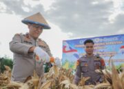 Wakapolda Sulteng Hadiri Panen Raya Nasional, Kapolri: 100 Ton Jagung Diekspor ke Malaysia