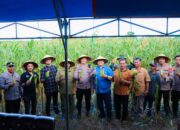 Polres Banggai Panen Raya Jagung, Kapolres Apresiasi Petani Toili Dukung Swasembada Pangan