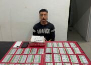 Satresnarkoba Polres Luwu Gagalkan Peredaran Ratusan Butir Tramadol di Walenrang
