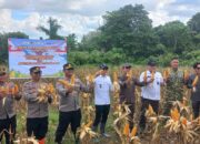 Polsek Maiwa Lakukan Pengamanan Kegiatan Zoom Meeting Virtual Panen Raya Jagung Serentak Kuartal II Tahun 2026 Di Balai Benih Desa Pattondonsalu
