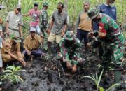 Tak Sekadar Menanam Mangrove, Koramil Lasalimu Perkuat Benteng Alam Pesisir Buton