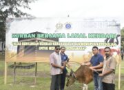 Peringati Hari Raya Idul Adha 1447 Hijiriah/2026 Masehi, Lanal Kendari Gelar Penyembelihan 14 Ekor Sapi Kurban