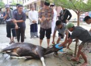 Polres Tana Toraja Sembelih 4 Ekor Sapi Kurban di Mapolres, Kapolres Bertindak sebagai Khatib