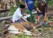Ketua JMSI Kota Kendari Didampingi Pengurus JMSI Sultra, Gelar Kurban dan Bagikan Pesan Solidaritas