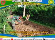 Wujudkan Ketahanan Pangan, Babinsa Koramil 1417-09/Ranomeeto Dampingi Petani Wolasi Siapkan Lahan Pertanian