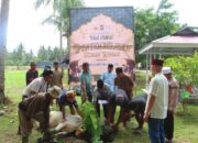 Polres Sigi Tebar Kepedulian di Hari Raya Idul Adha, Kapolres Pimpin Langsung Penyembelihan Qurban