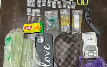 Perempuan Pengedar Sabu Dibekuk di Kendari, Polisi Sita 43 Paket Narkotika