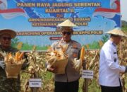 Pemprov Sultra Apresiasi Panen Raya Jagung Polda Sultra Dukung Ketahanan Pangan Nasional