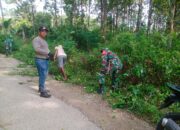Babinsa Lasalimu dan Warga Mopaano Bersatu dalam Karya Bakti, Kebersamaan Terlihat Nyata