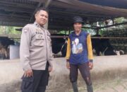 Bhabinkamtibmas Polsek Cendana Dukung Geliat Kuliner Dangke di Enrekang