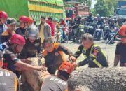Pohon Besar Tumbang di Ahmad Yani, Polisi dan Warga Bantu BPBD Lakukan Penanganan