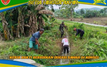 Sinergi TNI dan Warga: Babinsa Lainea Giatkan Kerja Bakti Bersihkan Irigasi Sawah di Konsel