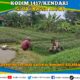 Wujud Sinergitas, Babinsa Koramil 1417-09/Ranomeeto Dampingi Petani Sayur di Konawe Selatan