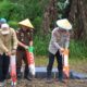 Ketahanan Pangan Jadi Prioritas, Polda Sulsel Optimalkan Lahan Binaan untuk Produksi Jagung Nasional