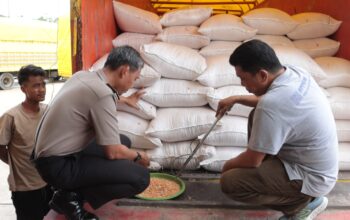 Program Ketahanan Pangan Polda Sulsel Berbuah Hasil, Bulog Serap Panen Jagung Petani
