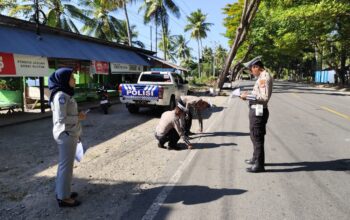 Bocah 7 Tahun Meninggal Dunia dalam Kecelakaan di Luwuk Selatan, Polisi Lakukan Penanganan dan Olah TKP