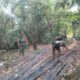 Kodim 1413/Buton Mulai Pembangunan Jembatan Beton, Perkuat Konektivitas Antarwilayah