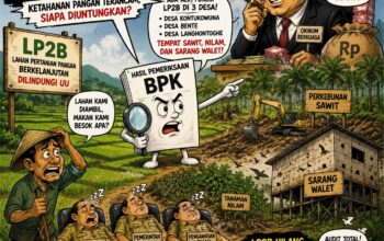 BPK Bongkar Dugaan Alih Fungsi LP2B di Muna, Sarang Walet Berdiri di Lahan Pertanian Dilindungi