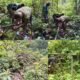 TMMD Ke-129 Kodim 1807/Sorong Selatan Terus Berjalan, Revitalisasi Pipanisasi Air Bersih di Kampung Sesor Capai Progres 30 Persen
