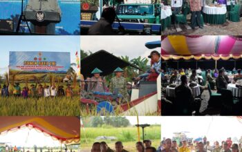 Panen Raya TNI di Papua Barat, Pangdam XVIII/Kasuari Tegaskan Komitmen Wujudkan Ketahanan Pangan Nasional