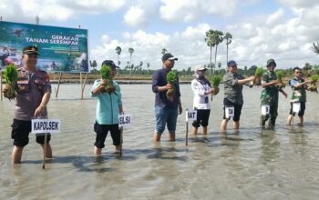 Kolaborasi Pemerintah, TNI-Polri, dan Petani Sukseskan Tanam Serempak di Desa Pallawarukka Demi Swasembada Pangan Indonesia