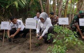 Kapolres Parepare Dukung Penurunan Stunting, Tanam Bibit Cabai Bersama Wagub Sulsel di Lumpue
