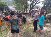 Sinergi TNI/Polri dan Warga Lakukan Evakuasi Pohon Tumbang di Luwuk, Akses Normal Kembali