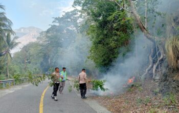 Karhutla Kembali Terjadi, Polisi Berjibaku Padamkan Kebakaran Lahan di Nuhon, Banggai