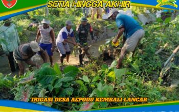 Prajurit dan Warga Bahu Membahu, Irigasi Desa Aepodu Kembali Lancar