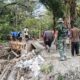 Semangat Tak Surut, Kodim 1413/Buton Bersama Warga Tuntaskan Pengecoran Jembatan Beton Wakangka