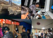 Koarmada III Berhasil Gagalkan Dugaan Pelanggaran Pengangkutan Kayu Log di Perairan Teluk Berau