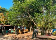 Penyiapan Material Kayu Perkuat Kelancaran Sasaran Fisik TMMD Ke-129 Kodim 1413/Buton